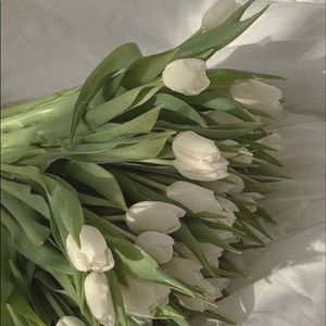 Meet your Posher, Dakota